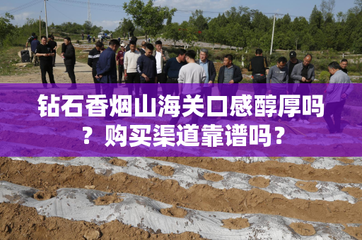 钻石香烟山海关口感醇厚吗？购买渠道靠谱吗？